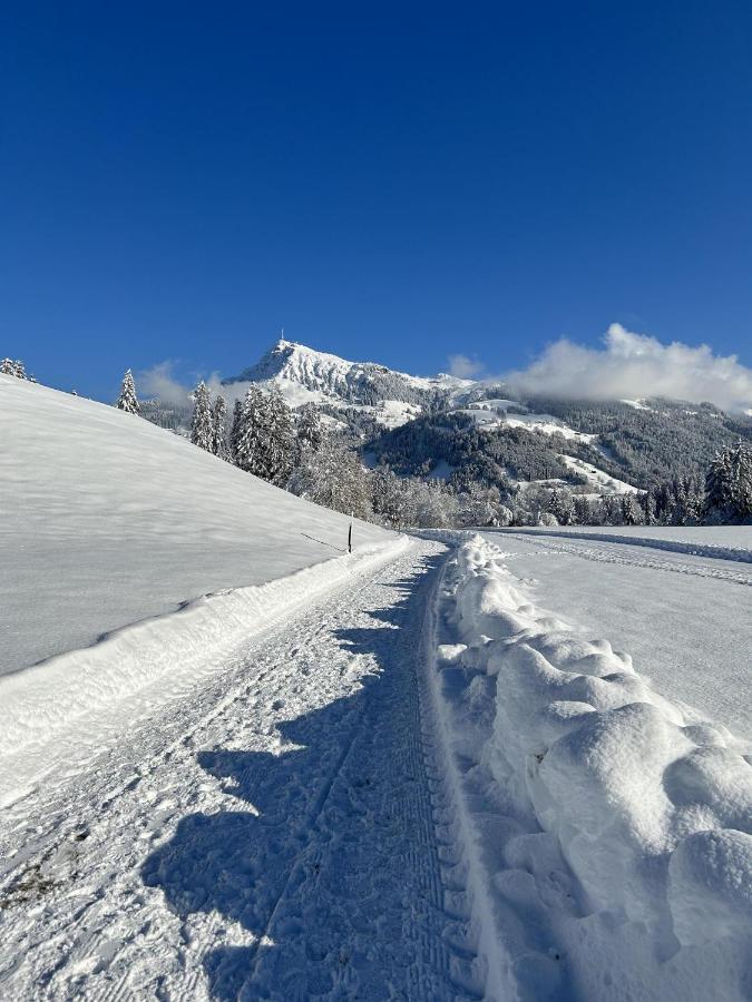 Waldnest Appartement Kitzbühel Buitenkant foto